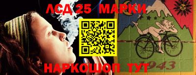 сатива Будённовск