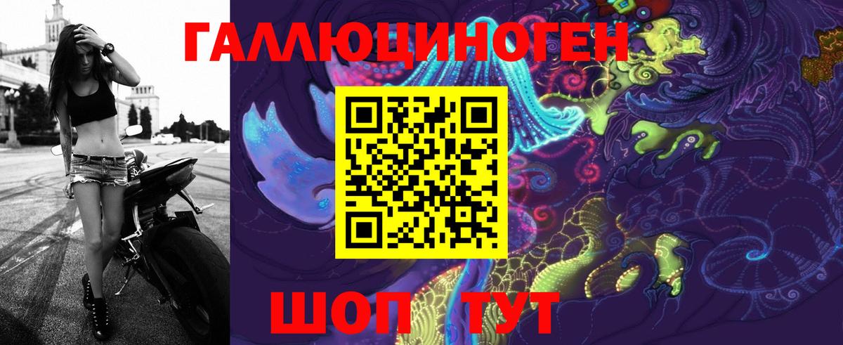 Георгиевск  Псилоцибиновые грибы Cubensis  Вход с VPN 